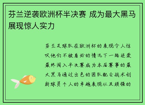芬兰逆袭欧洲杯半决赛 成为最大黑马展现惊人实力