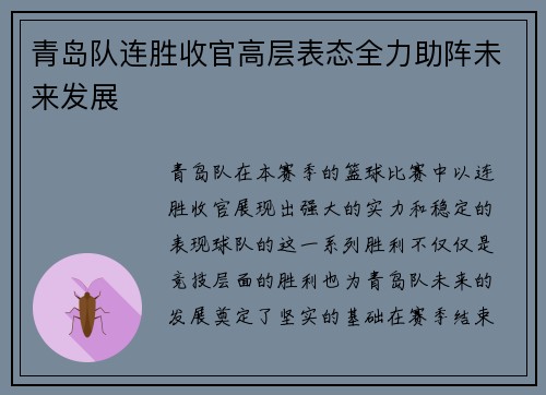 青岛队连胜收官高层表态全力助阵未来发展